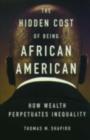 Image for The Hidden Cost of Being African American : How Wealth Perpetuates Inequality