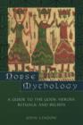 Image for Norse Mythology : A Guide to Gods, Heroes, Rituals, and Beliefs
