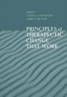 Image for Principles of Therapeutic Change That Work