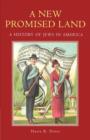 Image for A New Promised Land : A History of Jews in America