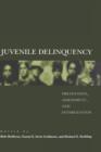 Image for Juvenile delinquency  : prevention, assessment, and intervention