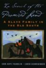 Image for In search of the promised land  : a black family and the Old South