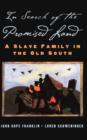 Image for In search of the promised land  : a black family and the Old South