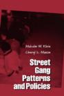 Image for Street Gang Patterns and Policies