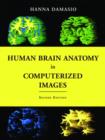 Image for Human Brain Anatomy in Computerized Images