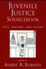 Image for Juvenile Justice Sourcebook : Past, Present, and Future