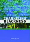 Image for Chanelling blackness  : studies on television and race in America