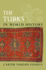 Image for The Turks in World History