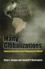 Image for Many globalizations  : cultural diversity in the contemporary world