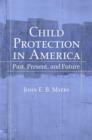Image for Child protection in America  : past, present, and future