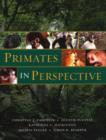 Image for Primates in Perspective