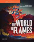 Image for The World in Flames : A World War II Sourcebook