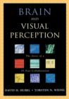 Image for Brain and Visual Perception