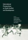 Image for International Perspectives on Youth Conflict and Development