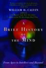 Image for A Brief History of the Mind : From Apes to Intellect and Beyond