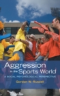Image for Aggression in the sports world  : a social psychological perspective