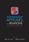 Image for Intergroup attitudes  : an integrative developmental and social psychological perspective