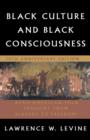 Image for Black Culture and Black Consciousness : Afro-American Folk Thought from Slavery to Freedom