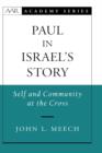 Image for Paul in Israel&#39;s Story