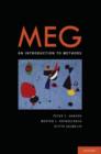 Image for MEG  : an introduction to methods