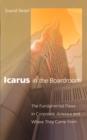 Image for Icarus in the Boardroom