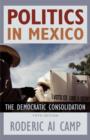 Image for Politics in Mexico  : the democratic consolidation