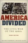 Image for America divided  : the civil war of the 1960s