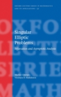 Image for Singular Elliptic Problems : Bifurcation &amp; Asymptotic Analysis