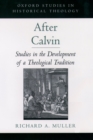 Image for After Calvin: studies in the development of a theological tradition