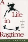 Image for A life in ragtime: a biography of James Reese Europe