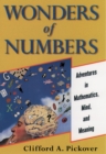Image for Wonders of Numbers: Adventures in Mathematics, Mind, and Meaning