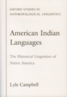 Image for American Indian languages