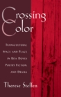 Image for Crossing Color: Transcultural Space and Place in Rita Dove&#39;s Poetry, Fiction and Drama
