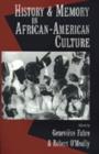 Image for History and Memory in African-American Culture