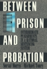Image for Between Prison and Probation: Intermediate Punishments in a Rational Sentencing System