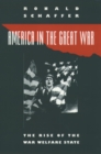 Image for America in the Great War: the rise of the war welfare state