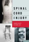 Image for Spinal cord injury