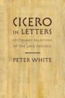 Image for Cicero in Letters