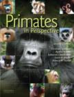 Image for Primates In Perspective