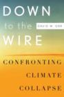 Image for Down to the wire  : confronting climate collapse
