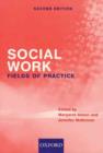 Image for Social work  : fields of practice