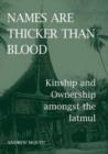 Image for Names are thicker than blood  : kinship and ownership amongst the Iatmul