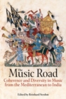 Image for The music road  : coherence and diversity in music from the Mediterranean to India