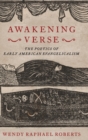 Image for Awakening verse  : the poetics of early American evangelicalism
