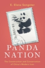 Image for Panda nation  : the construction and conservation of China&#39;s modern icon