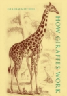 Image for How giraffes work