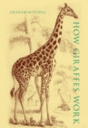 Image for How Giraffes Work