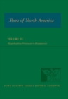 Image for Flora of North America: Volume 10, Magnoliophyta: Proteaceae to Elaeagnaceae
