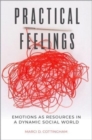 Image for Practical feelings  : emotions as resources in a dynamic social world