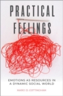 Image for Practical Feelings